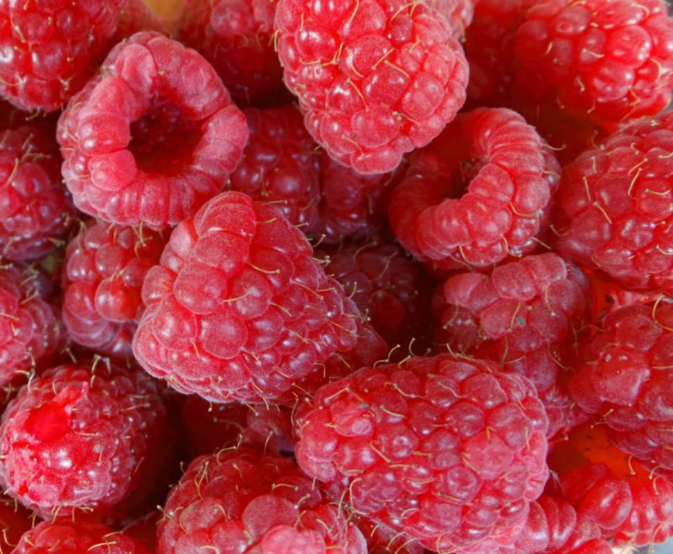 Real Foods Organic Raspberries